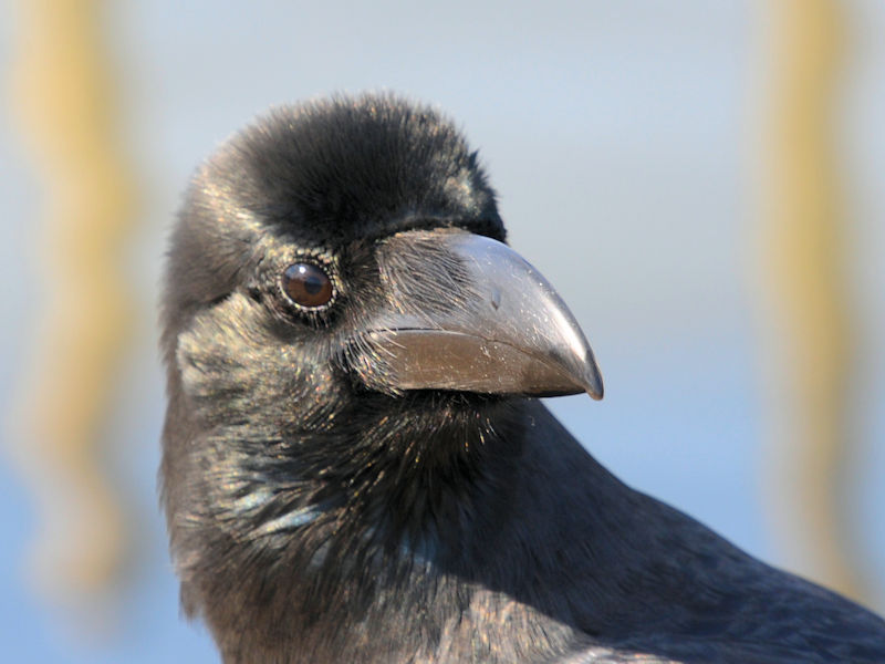 nVugKXiRԁj@@ԔLOߌΒn@s@2021/02/25@Photo by Kohyuh