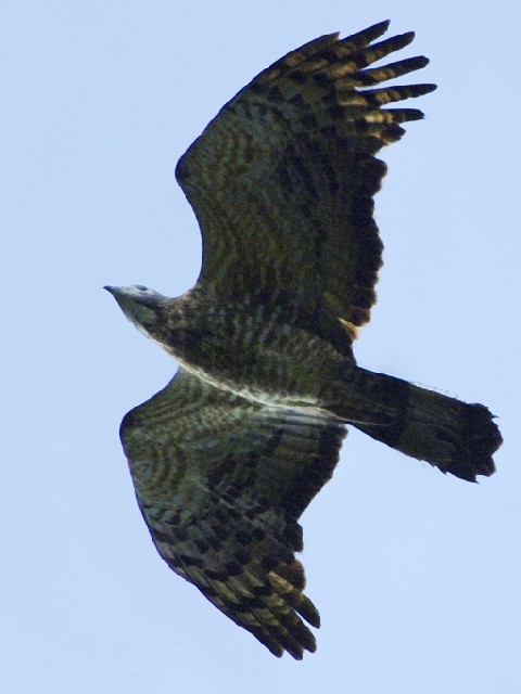 B n`N}@юp@@쌧@ 2006/09/21@ Photo by Mitchao