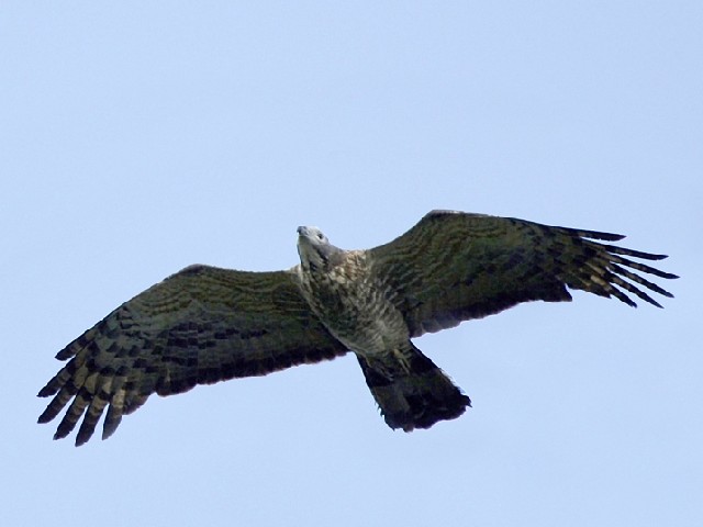 C n`N}@юp@@쌧@ 2006/09/22@ Photo by Mitchao