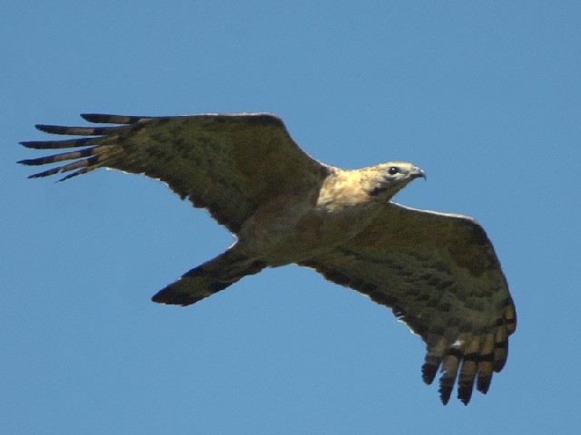 A n`N}@юp@@쌧@ 2007/09/20@ Photo by Mitchao