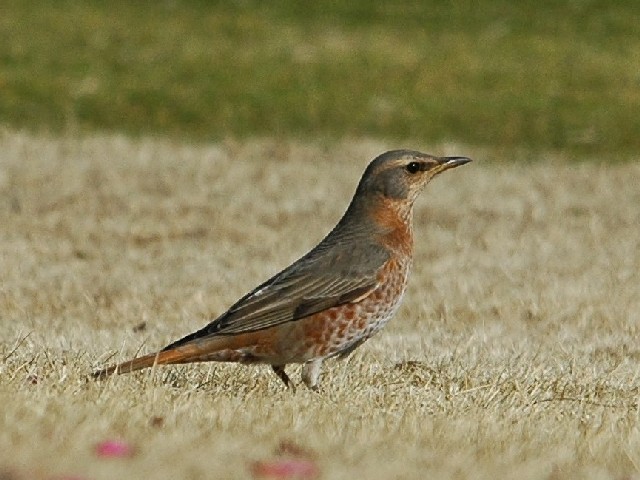 @ n`WEcO~@@s@2009/02/15@Photo by Takase