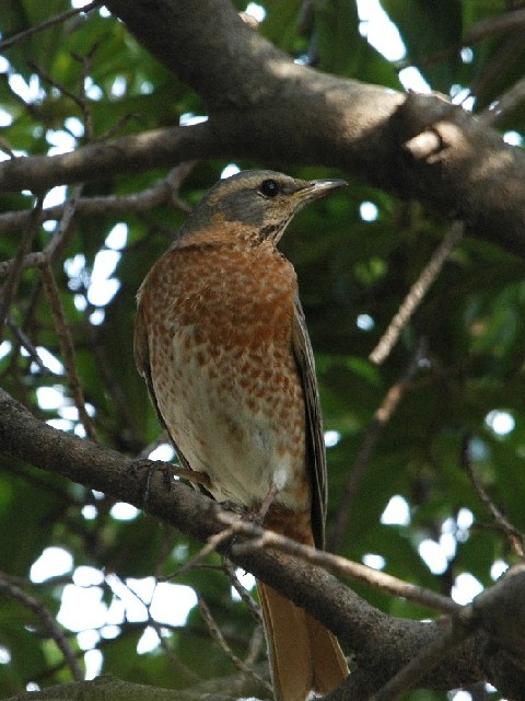 A n`WEcO~@@s@2009/02/14@Photo by Takase