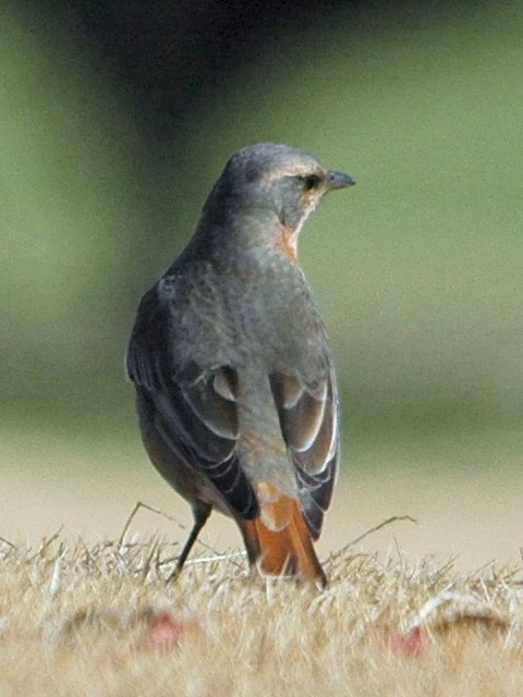 B n`WEcO~@@s@2009/02/14@Photo by Takase