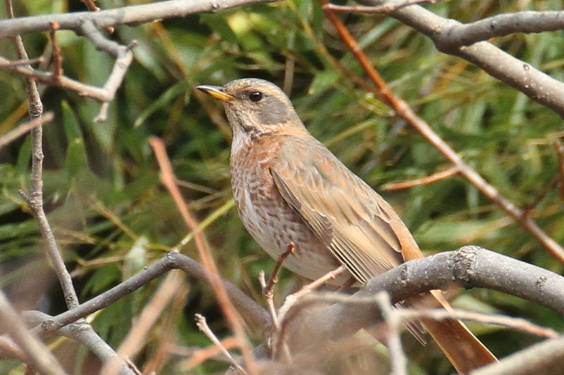 n`WEcO~ iV-1j@@Rcr@s@2015/01/04@Photo by Manda