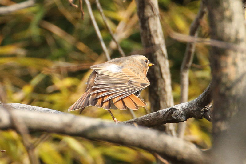 n`WEcO~ iV-2j@@Rcr@s@2015/01/04@Photo by Manda