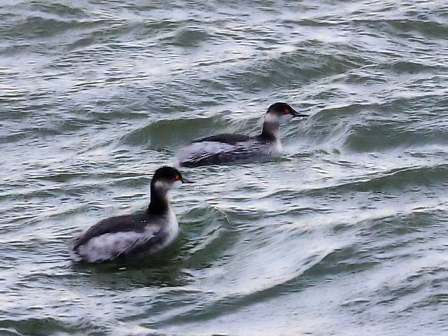 A nWJCcu@@~H@sՊC@s@2013/11/28@Photo by Kohyuh