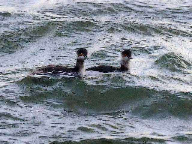 B nWJCcu@@~H@sՊC@s@2013/11/28@Photo by Kohyuh