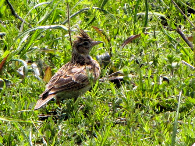 B qo@@s@͐~@2010/03/14@Photo by Kohyuh