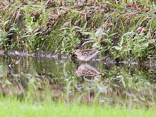 qoVM@@iR-2j@c@s@2014/08/25@Photo by Manda