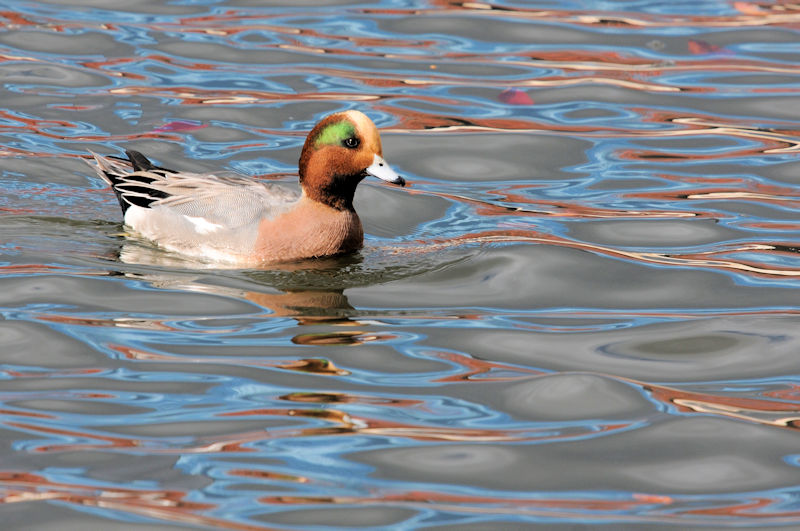 qhK  @@s@2019/11/20@Photo by Kohyuh