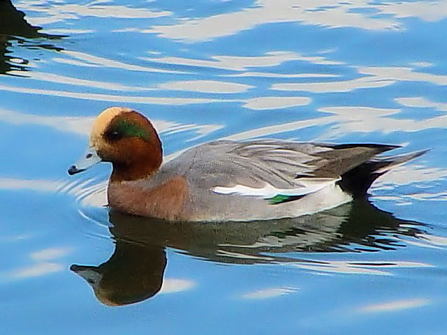 A qhK @ss@@O勴@2006/12/10@Photo by Kohyuh