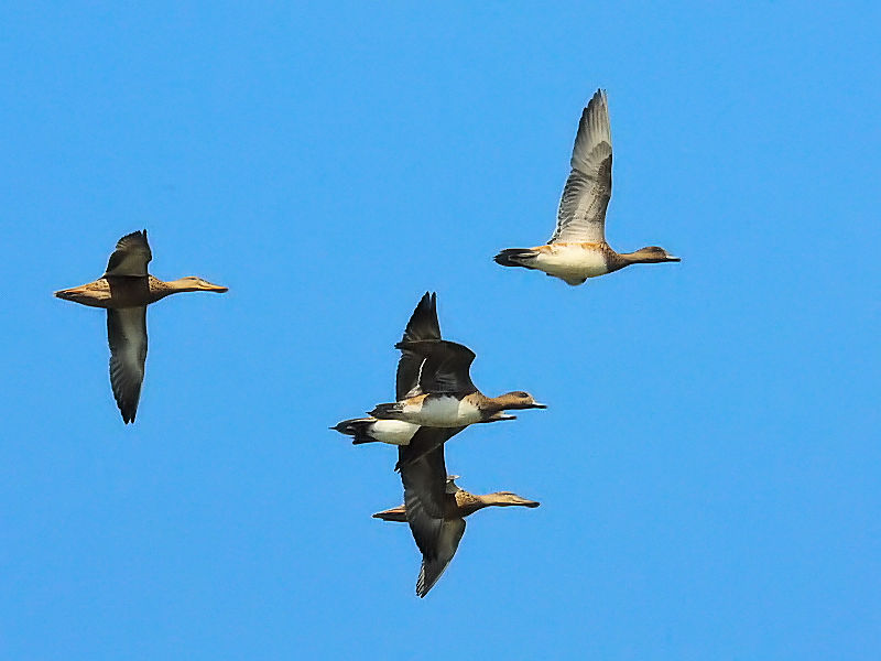 qhK @@ԔLOߌΒn@s@2016/10/15@Photo by Kohyuh