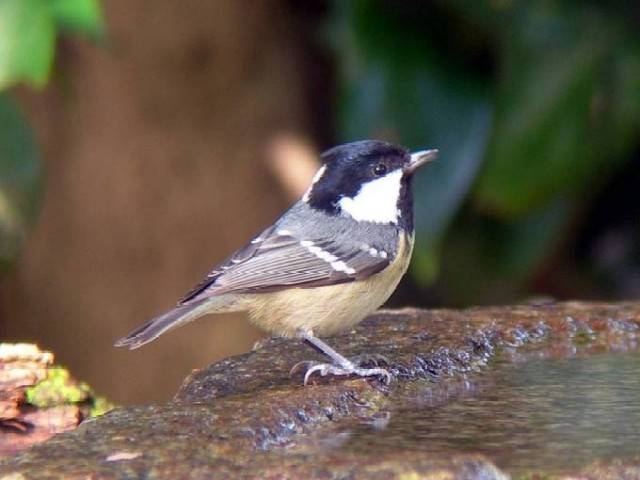 @ qK@s䏊@2006/11/13@ Photo by Takayama