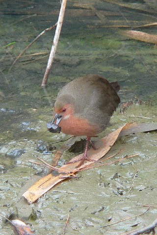 @ qNCi@s@Rcr@2008/01/21@Photo by Takase