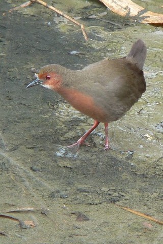 A qNCi@s@Rcr@2008/01/21@Photo by Takase