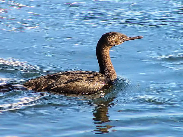 @ qE@@΁@ԑ@ 2008/02/06@Photo by Kohyuh