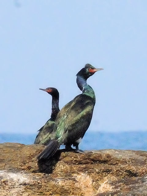 B qE@ĉH@VC݁@c@2011/04/12@Photo by Kohyuh