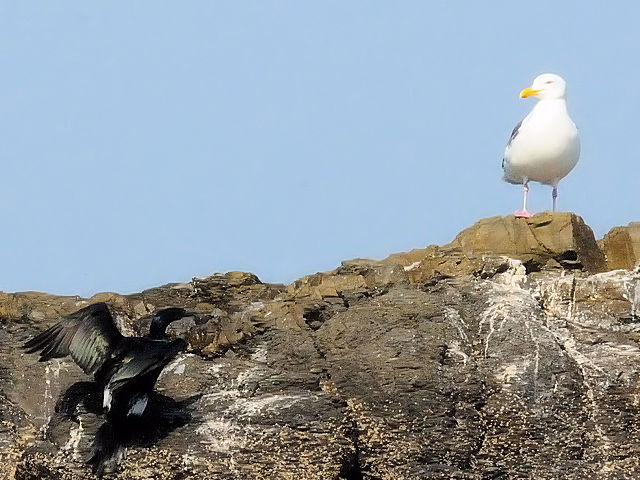 C qE@ĉH@VC݁@c@2011/04/12@Photo by Kohyuh