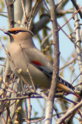 A@qWN@s{@R@ 2006/04/06@ Photo by Takayam