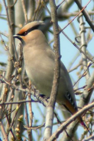 B@qWN@s{@R@ 2006/04/06@ Photo by Takayam