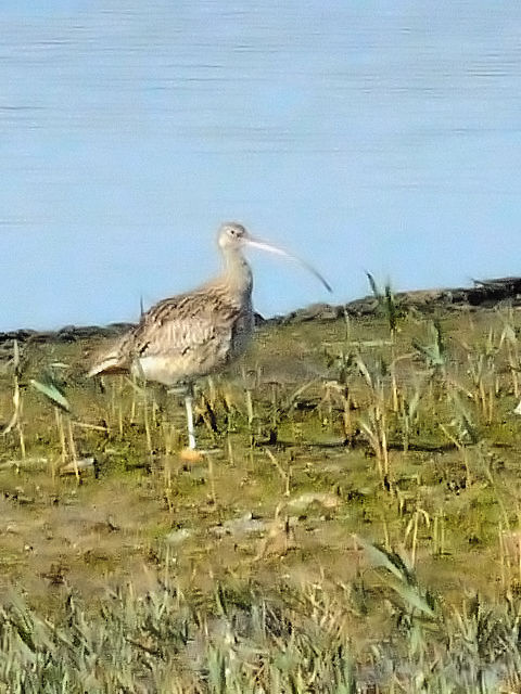 @ zENVM@@`쒹@2010/11/20@Photo by Kohyuh