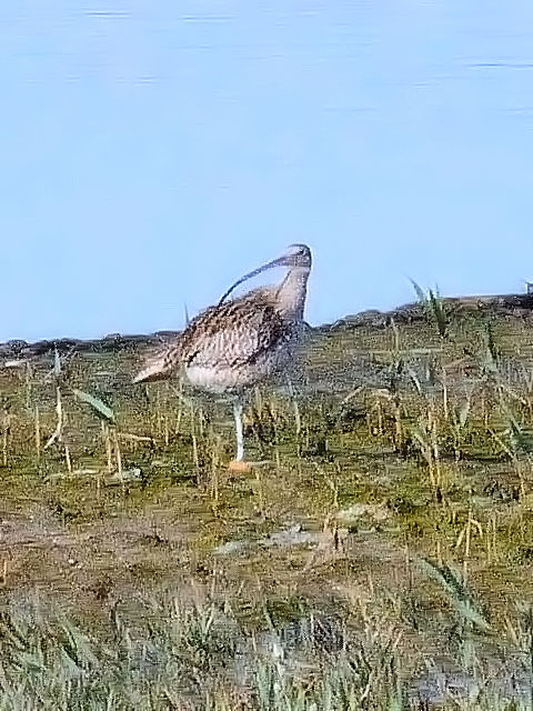 A zENVM@@`쒹@2010/11/20@Photo by Kohyuh