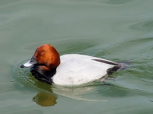 @ zVnW@ߌΒn@2007/02/19@ Photo by Kohyuh