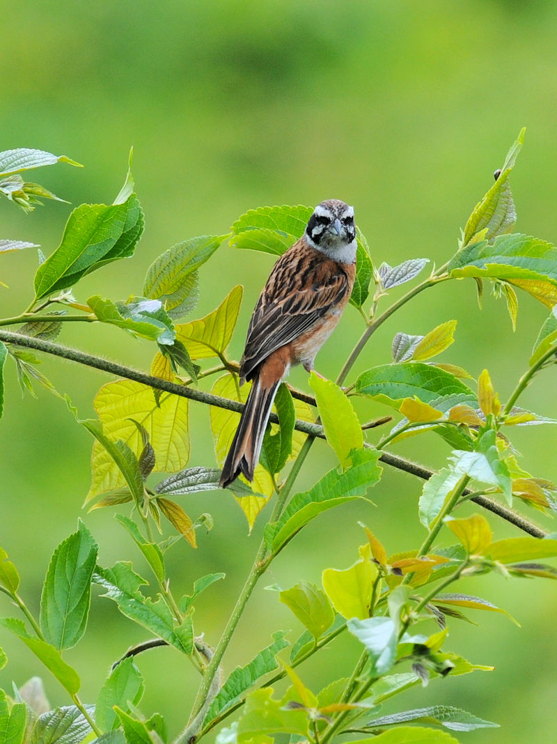 zIW@킫^@s@2020/05/25@Photo by Kuhyuh