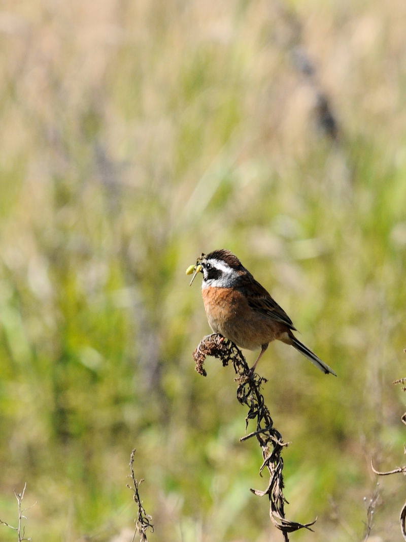 zIW@w@s@2020/04/25@Photo by Kuhyuh