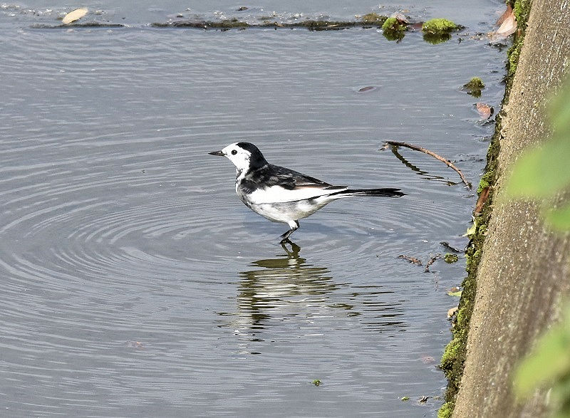 zIWnNZLC@@~H@J@s@2016/11/23@Photo by Hayashi@iʐ^񋟁F@с@gj