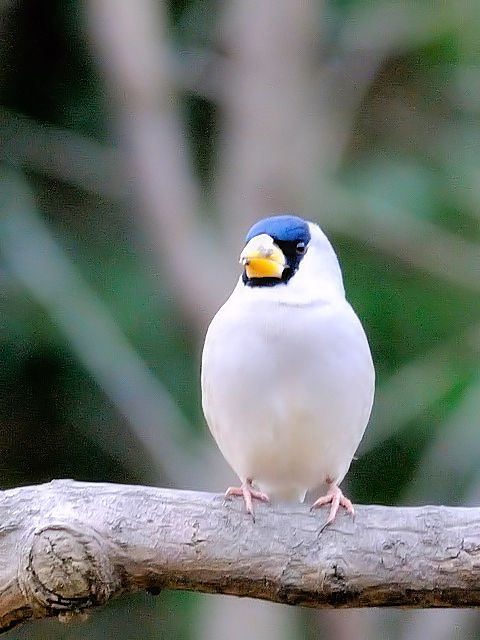 C CJ@@s{A@ss@2011/01/21@Photo by Kohyuh