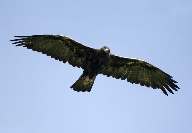 @ CkV@@ꌧ@ 2007/08/24@Photo by Mitchao