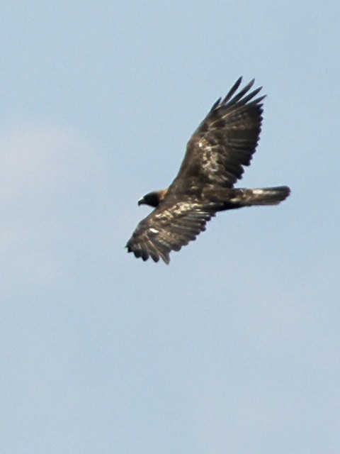 B CkV@@ꌧ@ 2007/08/24@Photo by Mitchao