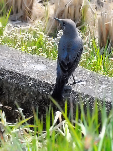 photo_20140319_4@C\qh@ iR-2j@@J@s@2014/03/19@ Photo by Kohyuh