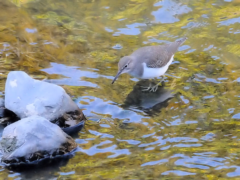 C\VMiS-1j@@D@s@20171112@Photo by Kohyuh