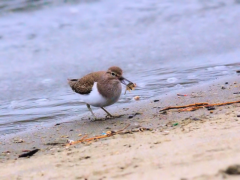 C\VMiR-2j@@@@2017/11/30@Photo by Kohyuh