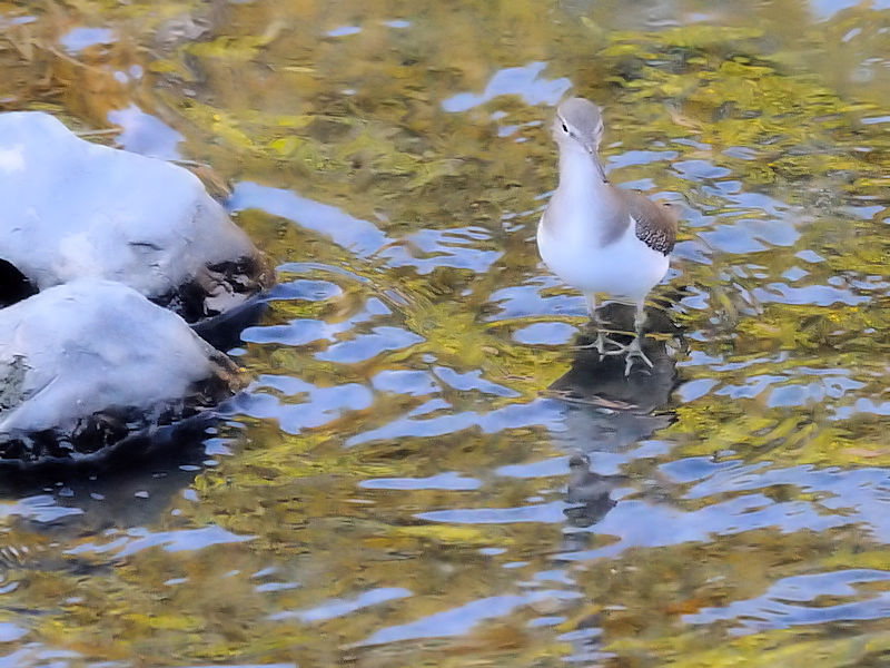 C\VMiS-3j@@D@s@20171112@Photo by Kohyuh