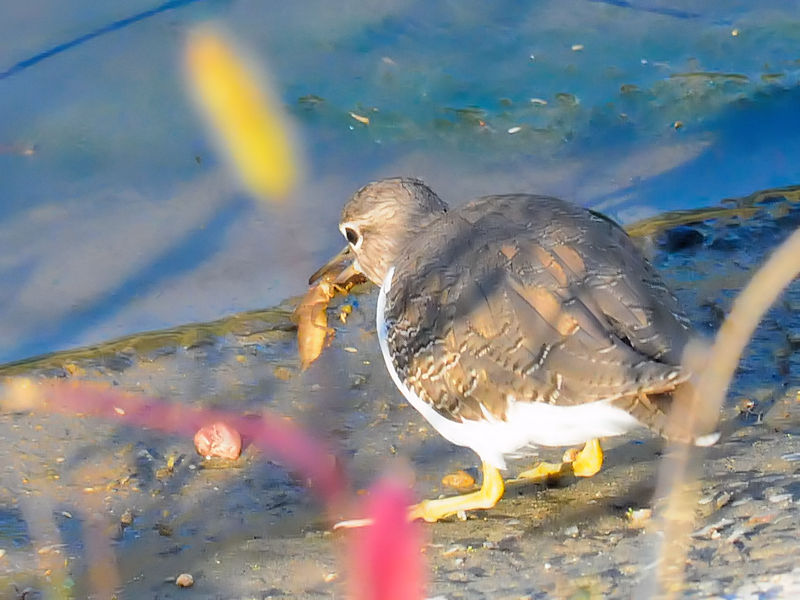 C\VMiR-3j@D@s@2018/11/06@Photo by Kohyuh