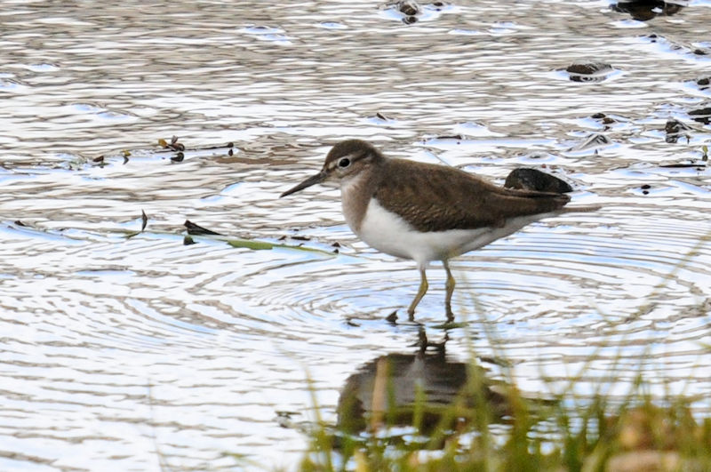 C\VM@@J@s@2022/01/04@Photo by Kohyuh