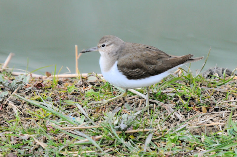 C\VM @J@s@2022/02/02@Photo by Kohyuh