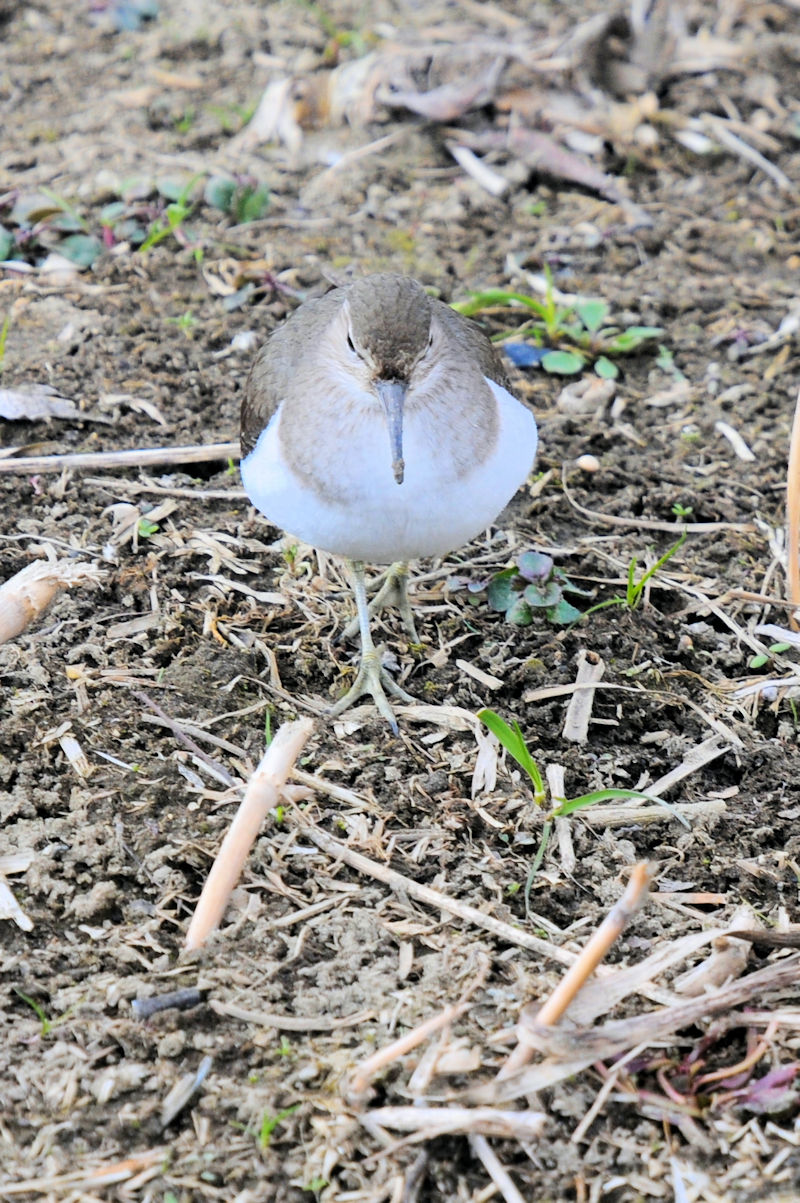 C\VM @J@s@2022/02/02@Photo by Kohyuh