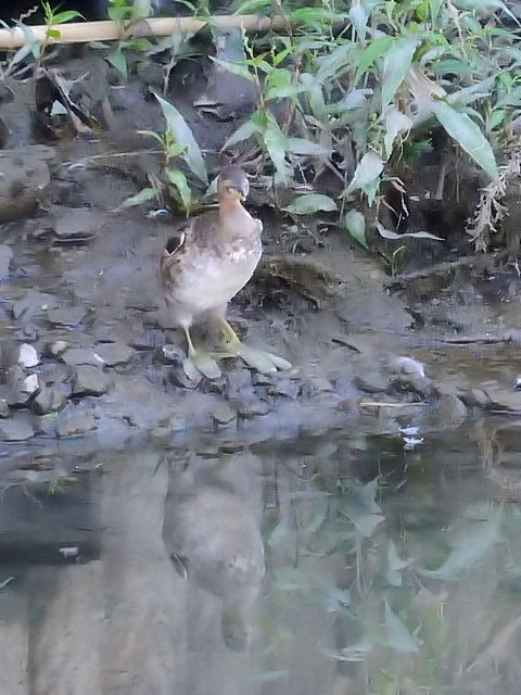 JCcu@iQ-1j@ᒹ@~H@s@J@2014/10/18@Photo by Kohyuh