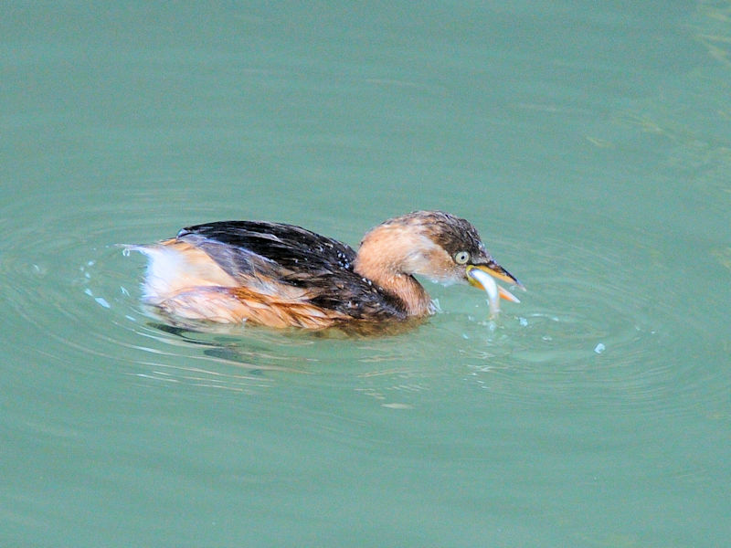 JCcu@@J@s@2022/12/22@Photo by Kohyuh