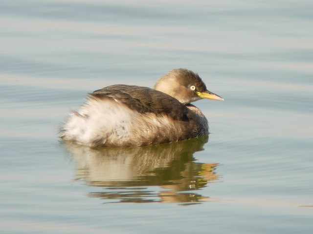 @@JCcu@@~H@@s@Rcr@2005/12/08@Photo by Takayama