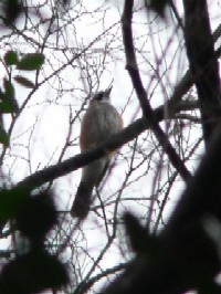 JPX@jR@@s@2007/03/08@Photo by Takase