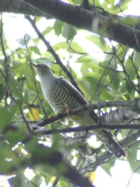 @ JbRE@s@w@2007/09/05@Photo by Shiba