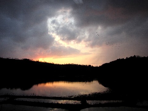 Ж슛r@ώ@ق̒ i17:23 j@2010/02/20 Photo by Kohyuh