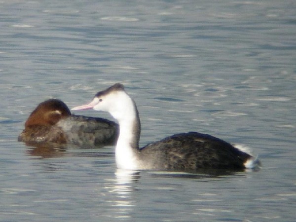 A JJCcu@(~H)@Îs@i΁@2005/12/01@Photo by Takayama