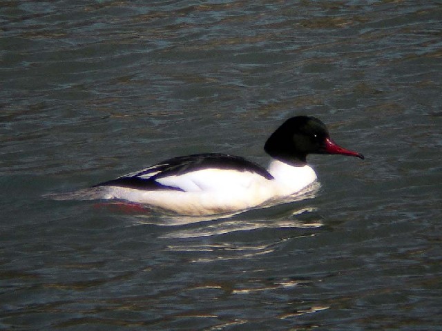 @ JACT  @s@w@ 2006/03/02@Photo by Takayama