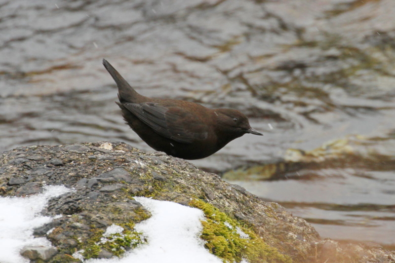 JKX iW-1j@@㍂n@쌧@2014/11/14@Photo by Manda